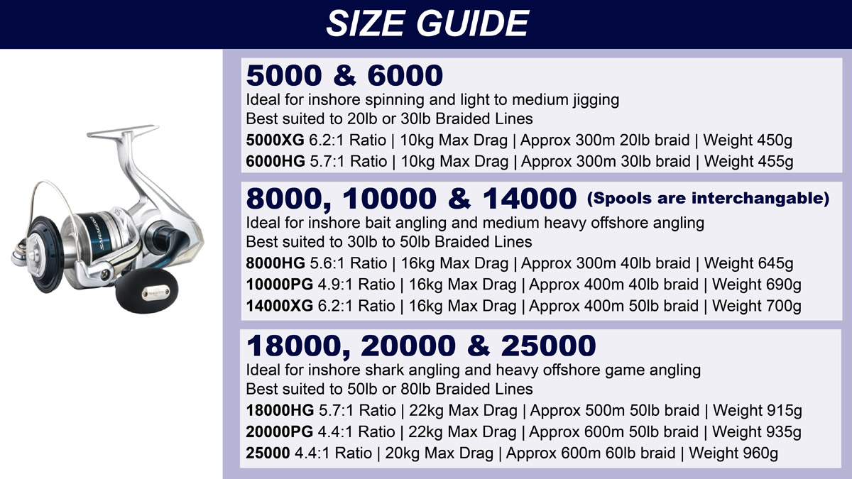 SARAGOSA SLIDES19 low web